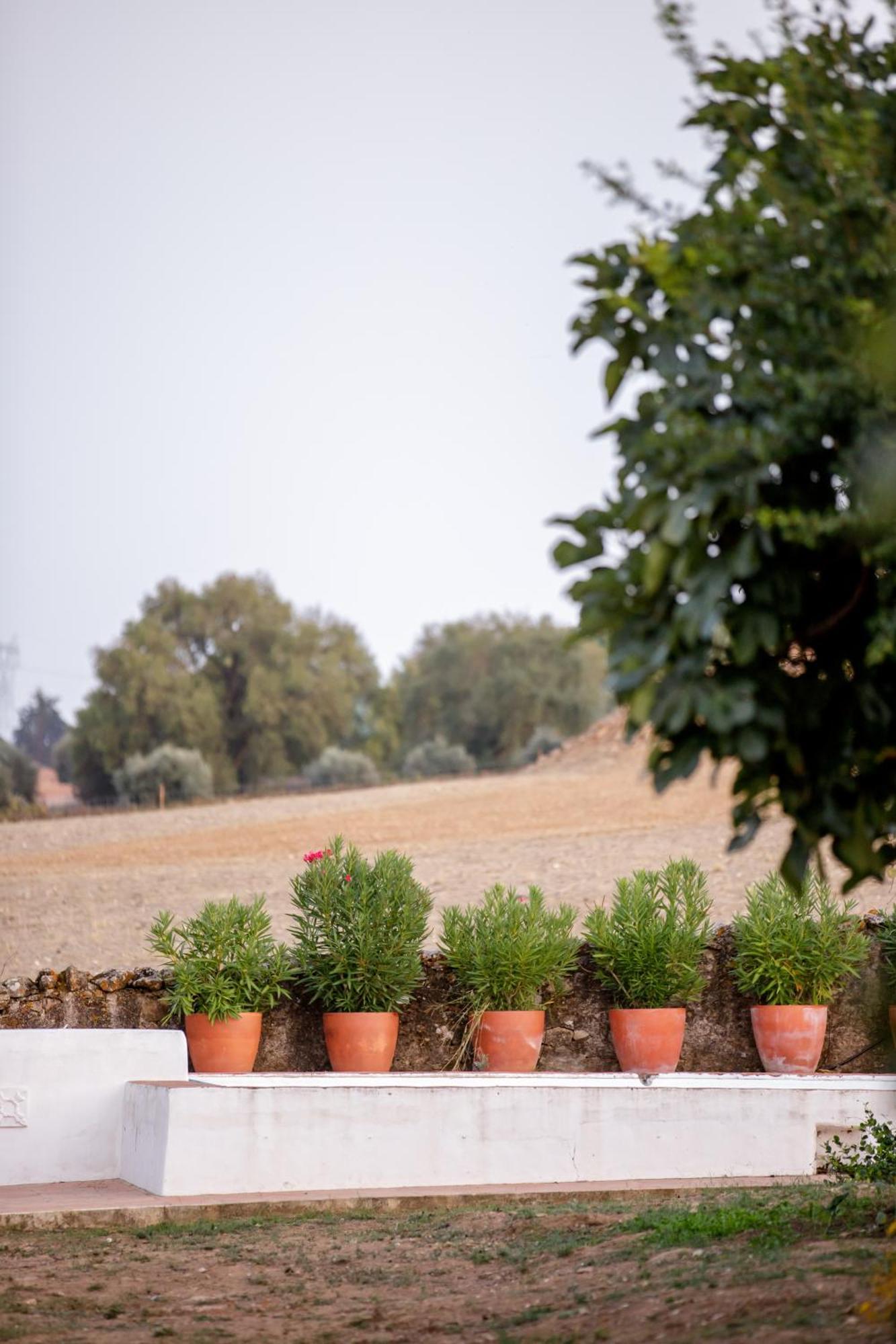 Monte Da Hortinha Βίλα Estremoz Εξωτερικό φωτογραφία